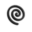 BigLoop Logo